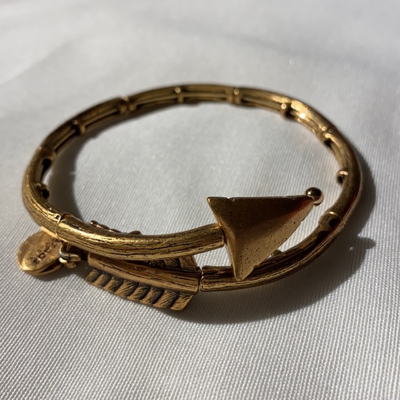 Alex and Ani Gold Arrow Wrap Bracelet - Picture 2 of 4